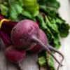 Beet Seeds (Organic) - Detroit Dark Red -Garden Bounty beet organic detroit dark red 1
