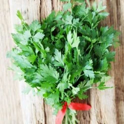 Parsley Seeds - Italian