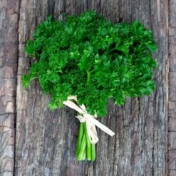 Parsley Seeds (Organic) - Curled
