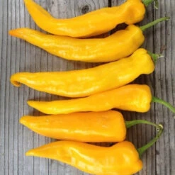 Sweet Pepper Seeds - Golden Marconi