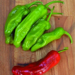 Sweet Pepper Seeds - Pepperoncini Italian