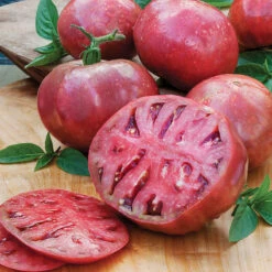 Tomato Seeds - Cherokee Purple