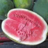 Watermelon Seeds - Black Diamond -Garden Bounty watermelon black diamond 1