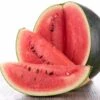 Watermelon Seeds - Sugar Baby 2 Watermelon Seeds - Sugar Baby -Garden Bounty watermelon sugar baby shk 1