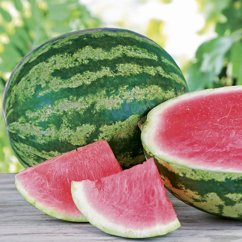 Watermelon Seeds - Triple Crown F1 3 Watermelon Seeds - Triple Crown F1